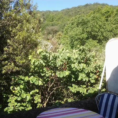 A Ponderach, Dans Un Domaine Du 17e Siecle En Pleine Nature Saint-Pons-de-Thomieres